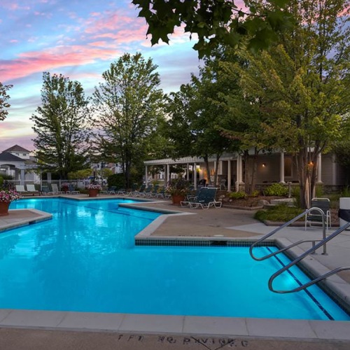 a pool with greenery in the background