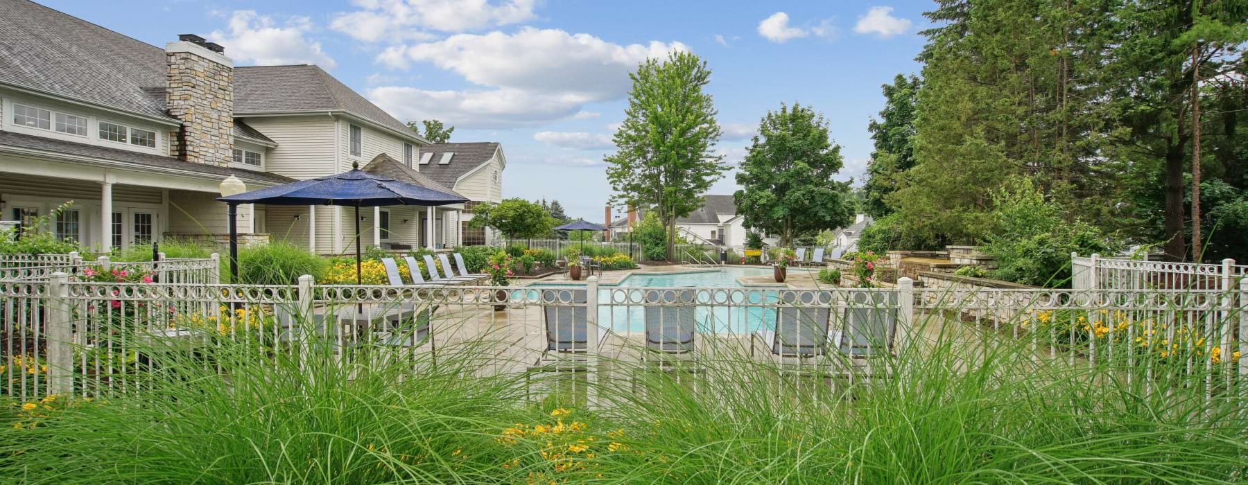 View of swimming pool with lounge chairs and umbrellas around it